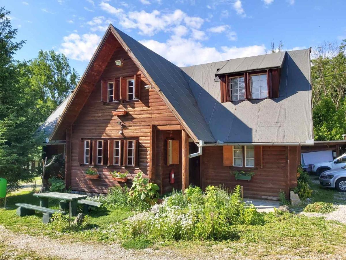Casa Edelweiss - Gyopar - Flore De Colt ريميتيا المظهر الخارجي الصورة