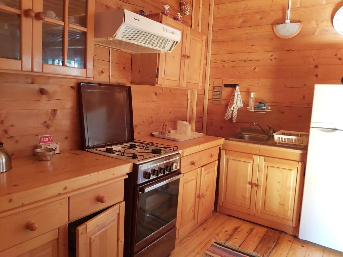 Casa Edelweiss - Gyopar - Flore De Colt ريميتيا المظهر الخارجي الصورة